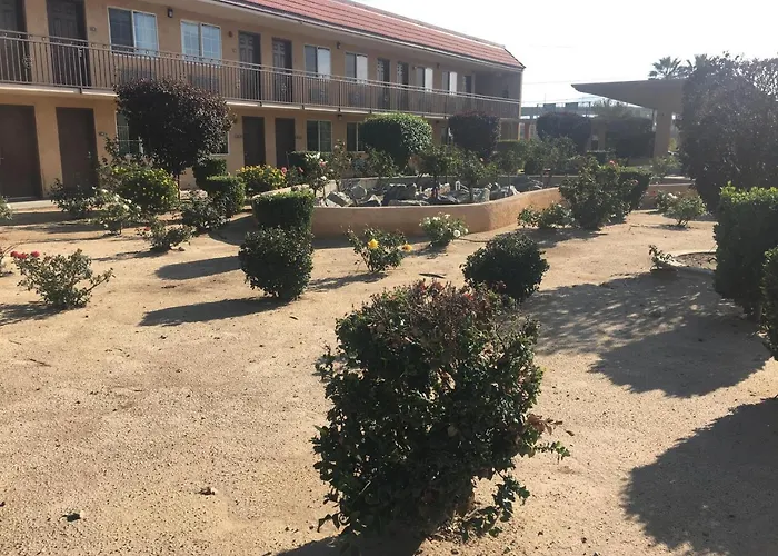 Budget Lodge San Bernardino